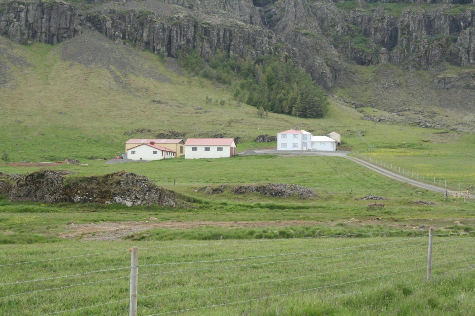 Guesthouse Stekkatun Skálafell المظهر الخارجي الصورة