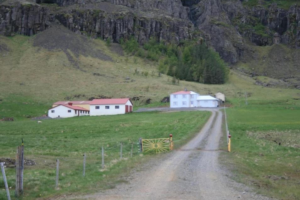 Guesthouse Stekkatun Skálafell المظهر الخارجي الصورة
